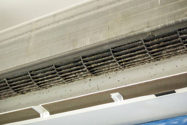 Best Air Duct Sanitization & Disinfection in Stevenson, AL